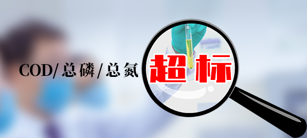 【超標(biāo)】屠宰場(chǎng)廢水COD總氮和總磷超標(biāo)？用這3種方法解決！