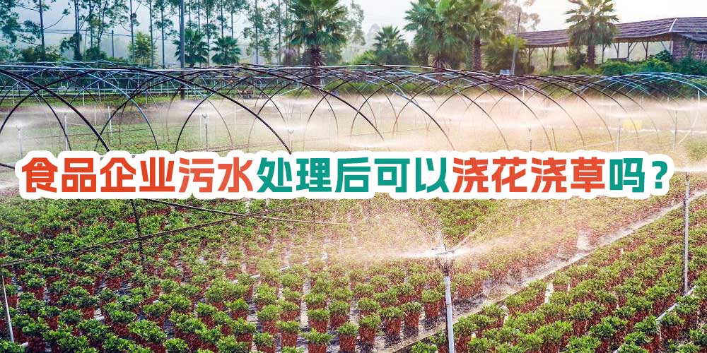 食品企業污水處理后可以澆花澆草嗎？