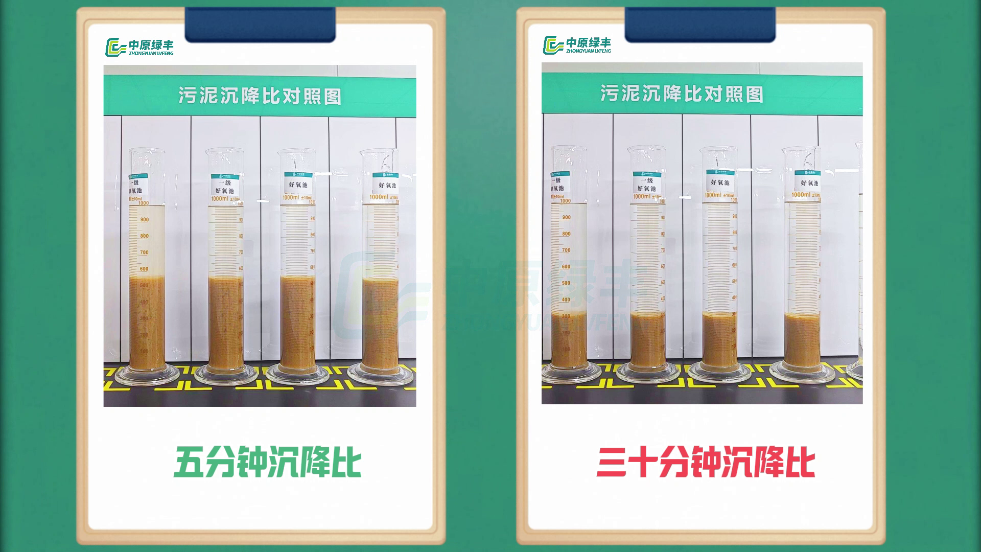 vlcsnap-2025-12-04-13h56m53s529